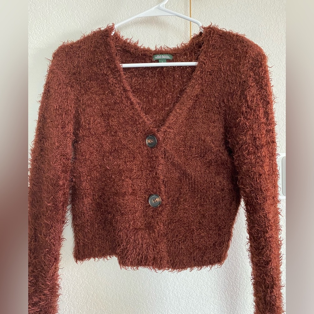 Fur Wild Fable Accent Sweater